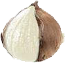 Tỏi Thường