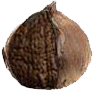 10 Ngày